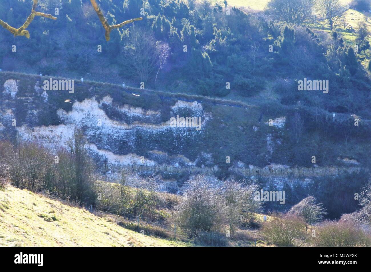Chalk collina nel Buckinghamshire, UK Foto Stock