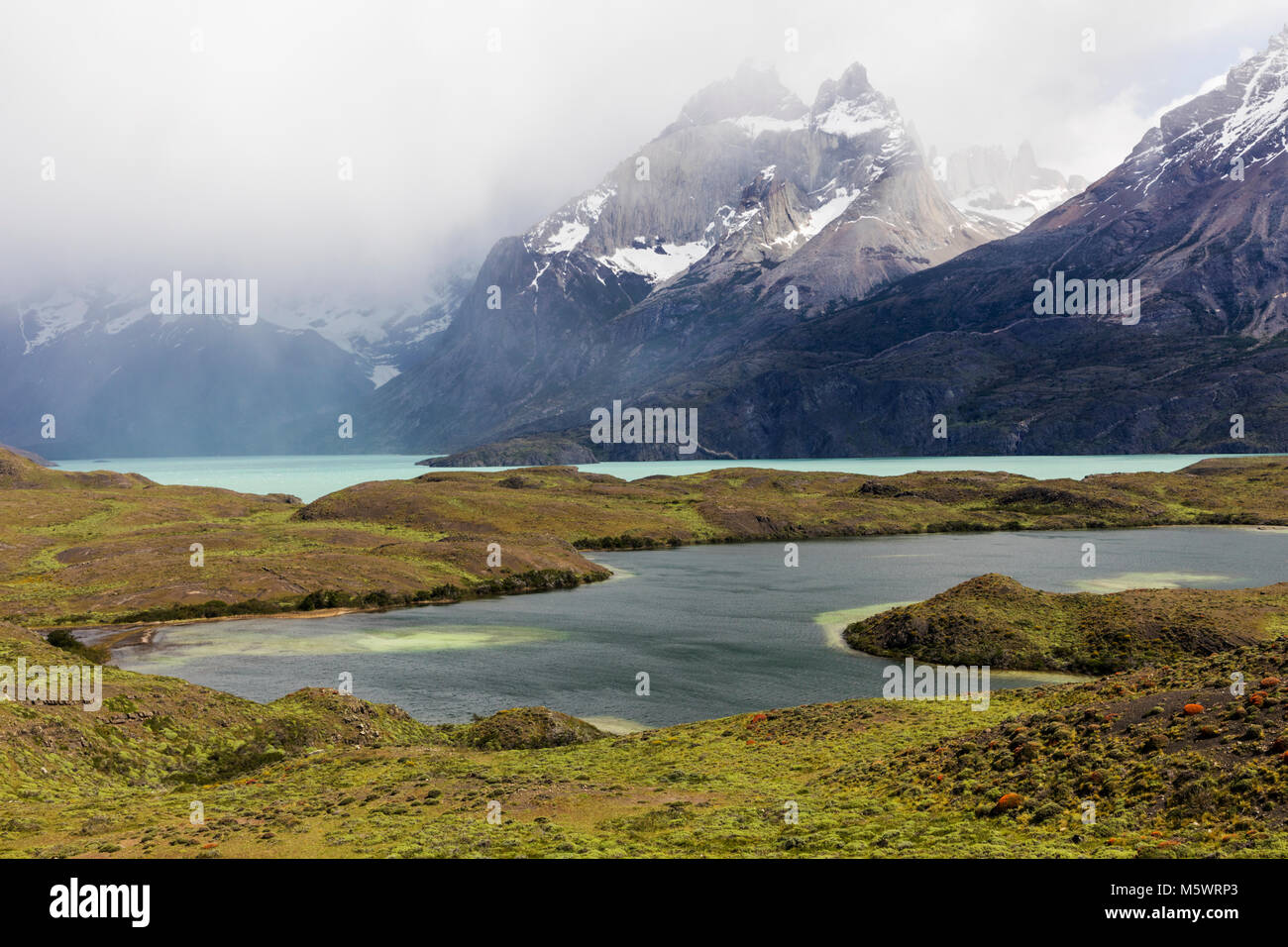 Rio grigio; Cerro Paine Grande al di là; Parco Nazionale Torres del Paine; Cile Foto Stock