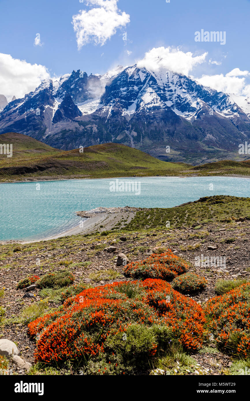 Lago Nordenskjold; Mte. Almirante Nieto; 2640 metri; Parco Nazionale Torres del Paine; Cile Foto Stock
