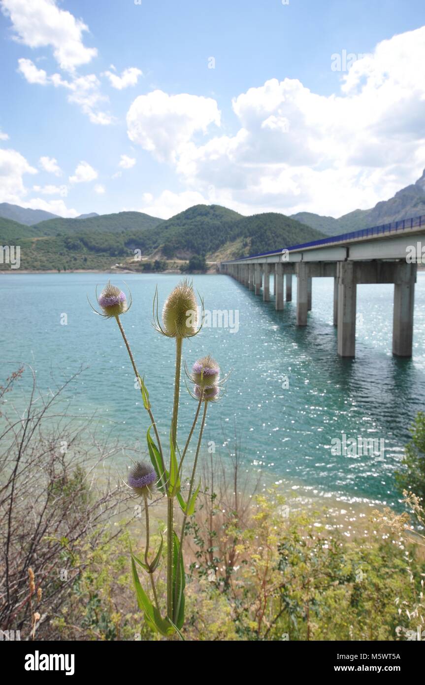 Lungo ponte di cemento su un lago verso montagne con cielo nuvoloso e con i carsi in primo piano. Preso nella Spagna del Nord Foto Stock