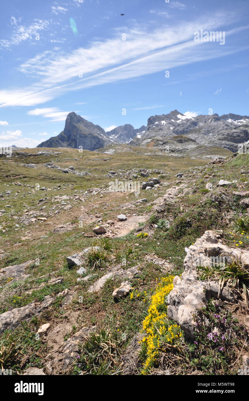 Vista sulle montagne della Cantabria, Spagna settentrionale. Primo piano roccioso con piante con catena montuosa, cielo blu e nuvole. Foto Stock