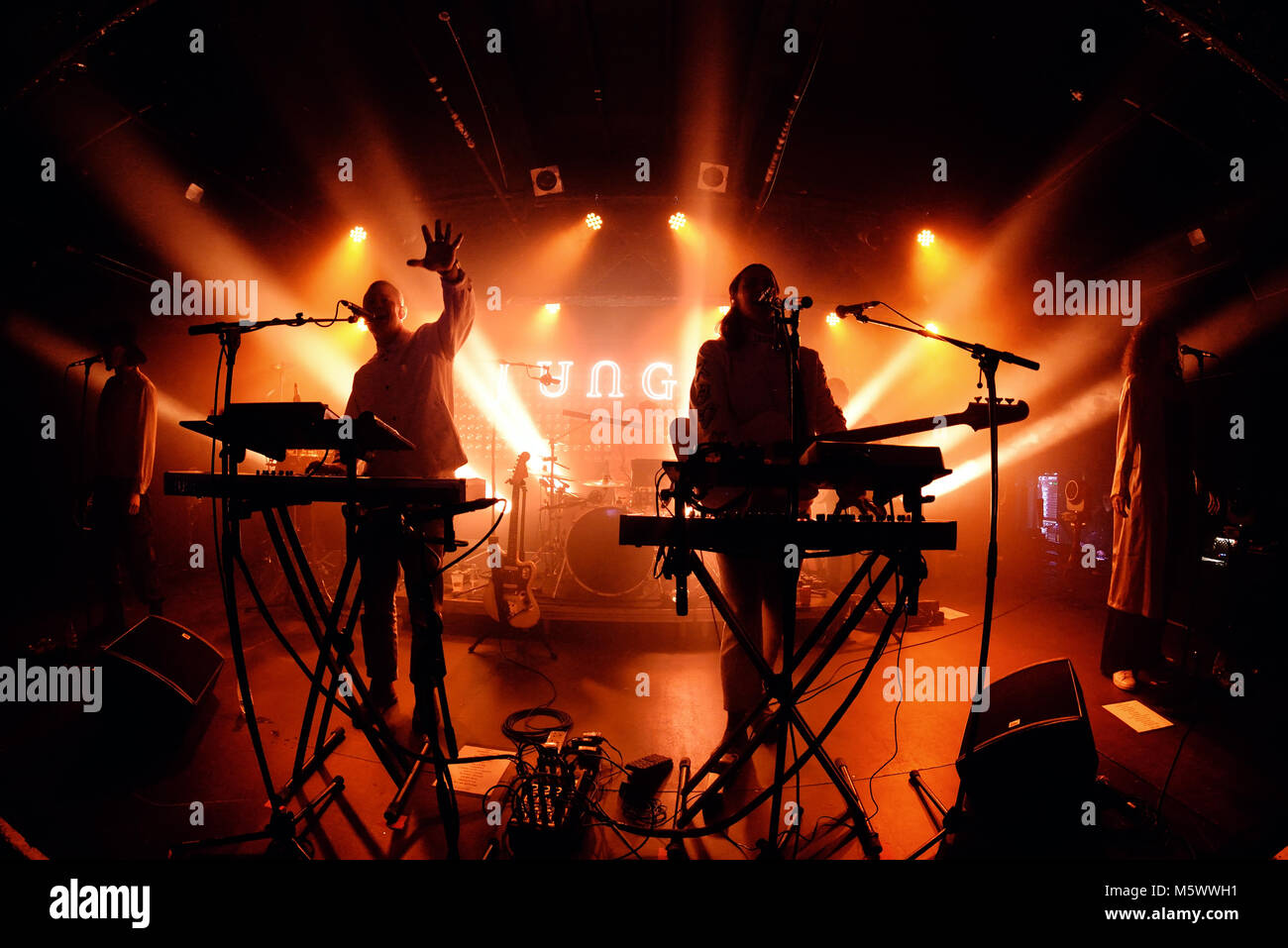 Barcellona - Nov 7: Jungle (indie soul funk band) eseguire in concerto presso il Razzmatazz Club il 7 novembre 2017 a Barcellona, Spagna. Foto Stock