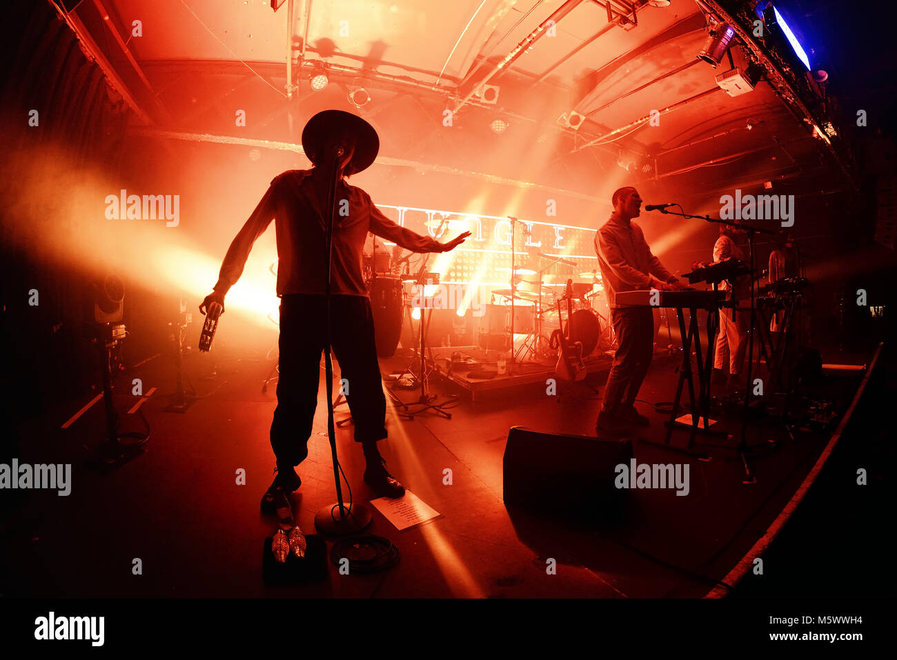 Barcellona - Nov 7: Jungle (indie soul funk band) eseguire in concerto presso il Razzmatazz Club il 7 novembre 2017 a Barcellona, Spagna. Foto Stock