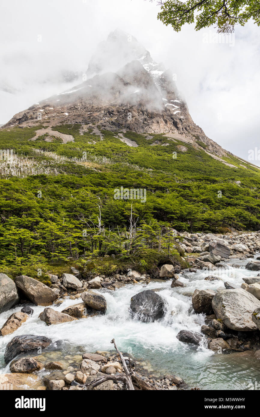 Rio de Francesca; Cordillera Paine; Parco Nazionale Torres del Paine; Cile Foto Stock
