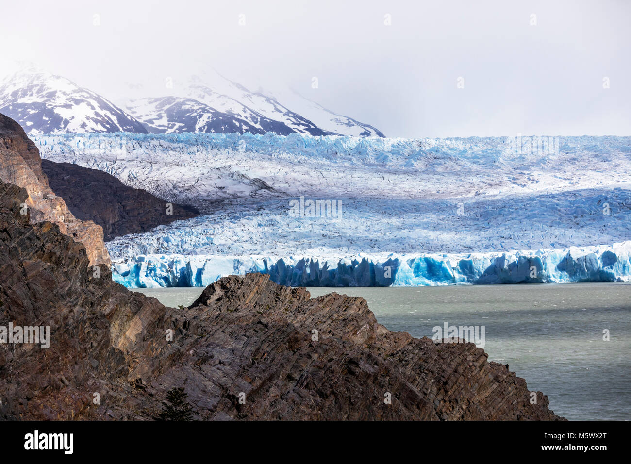 Robusto faccia del grigio Glaciar fonde e vitelli nel Lago grigio; Parco Nazionale Torres del Paine; Cile Foto Stock