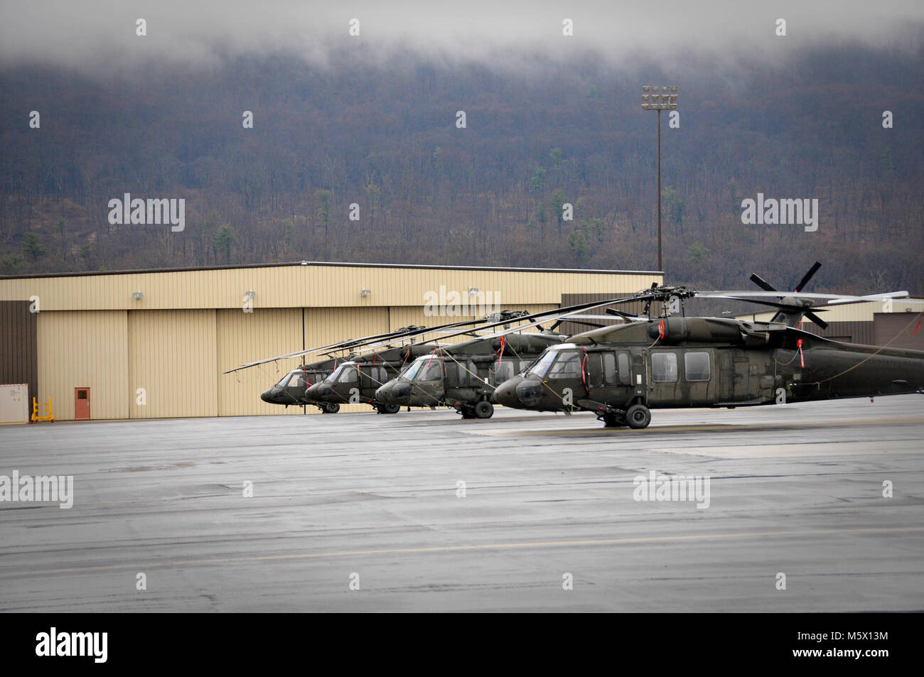 Ventottesima Expeditionary combattere la Brigata Aerea UH-60 Black Hawk elicotteri parcheggiato su Muir Army Airfield Febbraio 25, 2018. Foto Stock