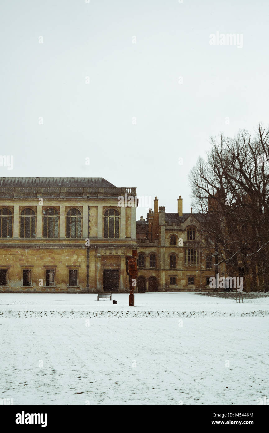 Cambridge, Regno Unito. Il 26 febbraio 2018. Bufera di neve Antony Gormley la scultura oggetto libero (parte della sua serie Blockwork) nella parte anteriore del Trinity College di Wren Library. © Ben concedere/Alamy Live News Foto Stock