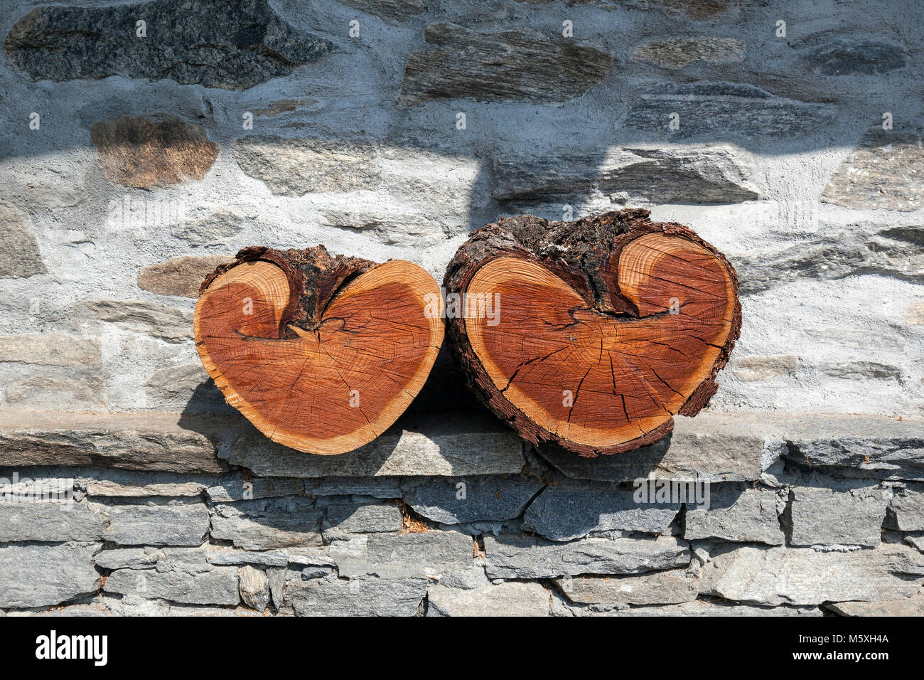 Due a forma di cuore tronchi di legno, cuori di legno, Canton Ticino, Svizzera Foto Stock