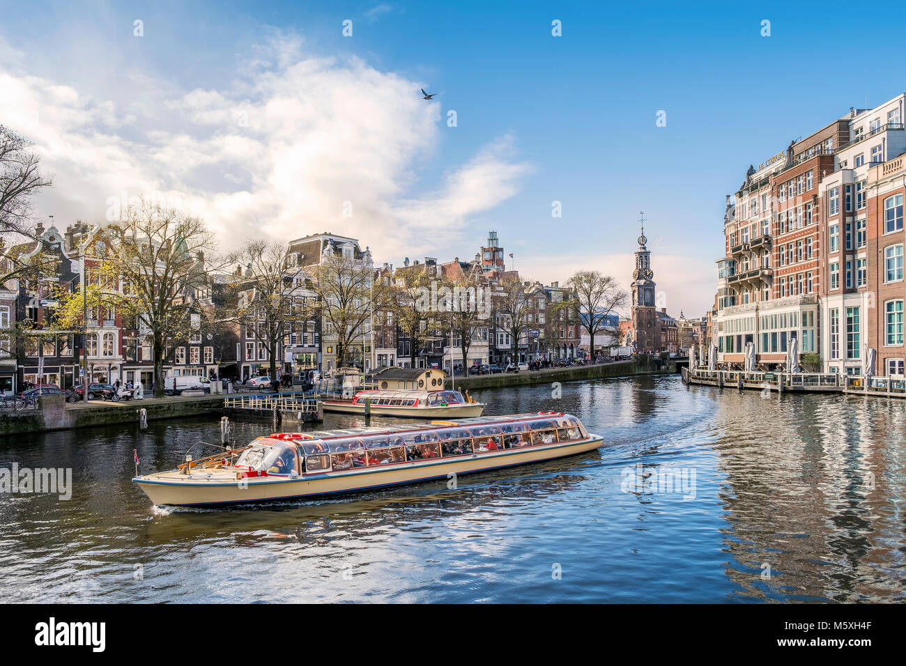 Imbarcazione turistica sul canale, indietro torre di menta, Amsterdam, Paesi Bassi Foto Stock