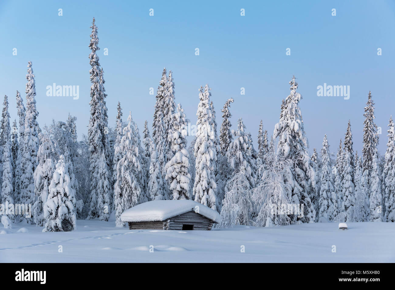 Coperte di neve rifugio nel paesaggio invernale, Pallastunturi, Pallas-Yllästunturi National Park, Muonio, Lapponia, Finlandia Foto Stock