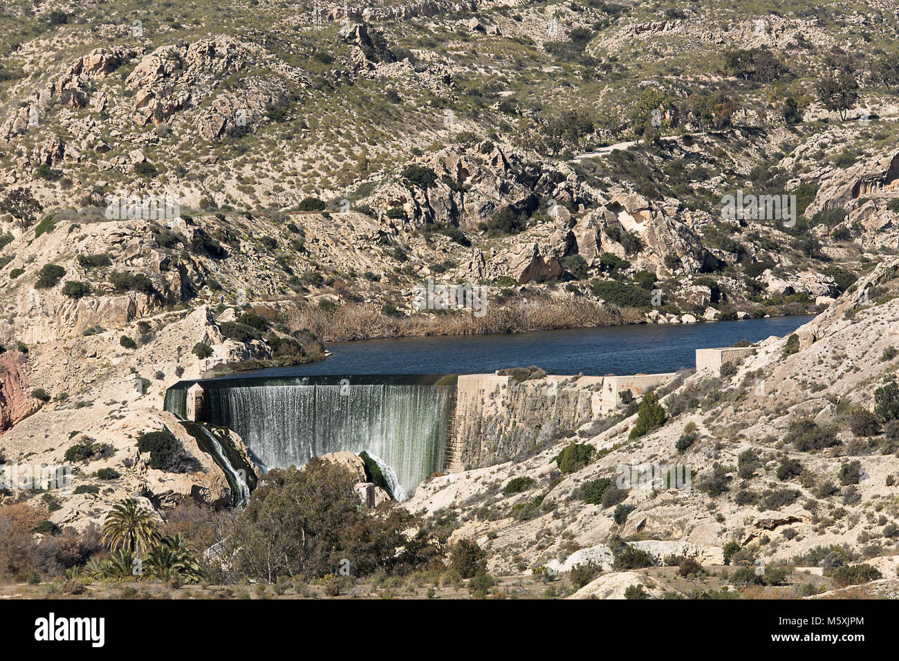 Viste della palude di Elche in inverno. Provincia di Alicante in Spagna. Foto Stock