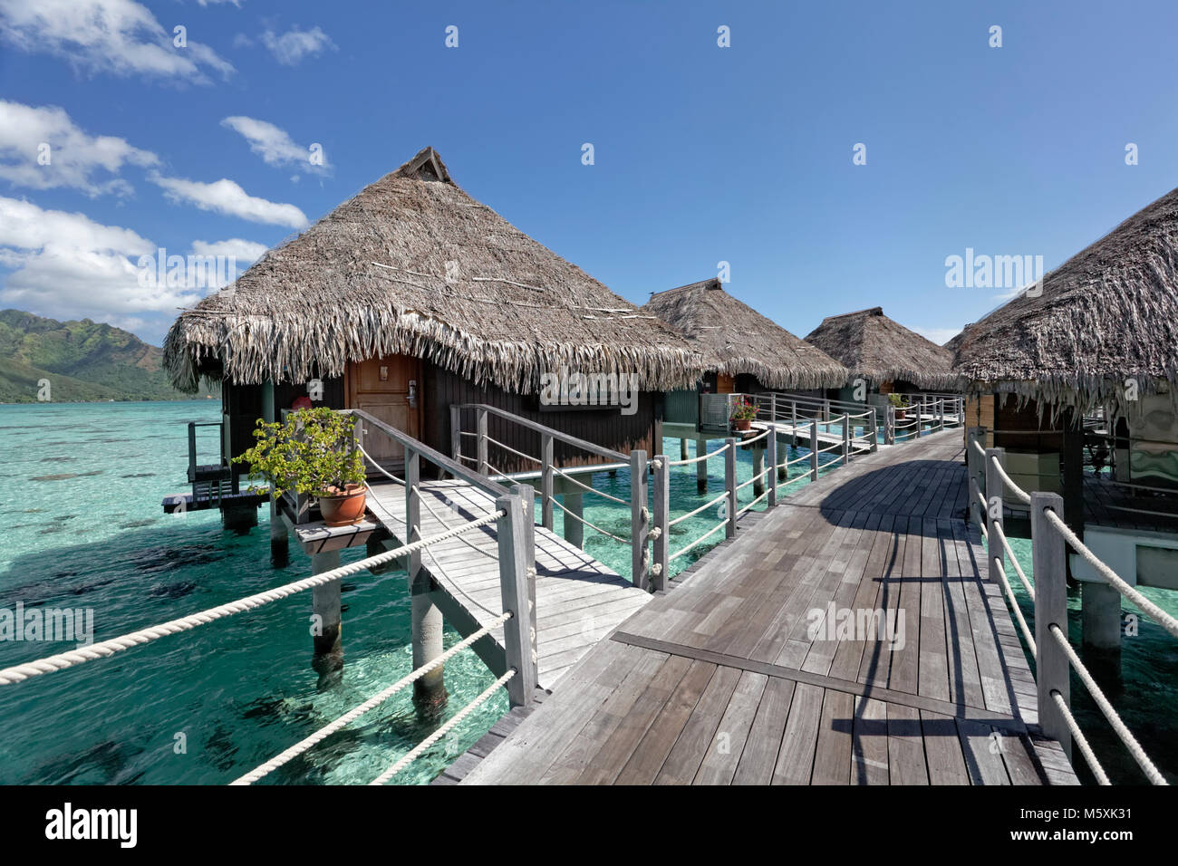 I bungalow sull'acqua, passerella, Hilton Hotel, Moorea, Oceano Pacifico Isole della Società, Polinesia Francese Foto Stock