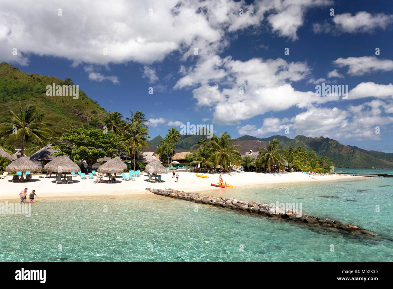 Spiaggia con ombrelloni e palme, Hilton Hotel, Moorea, Oceano Pacifico Isole della Società, Polinesia Francese Foto Stock