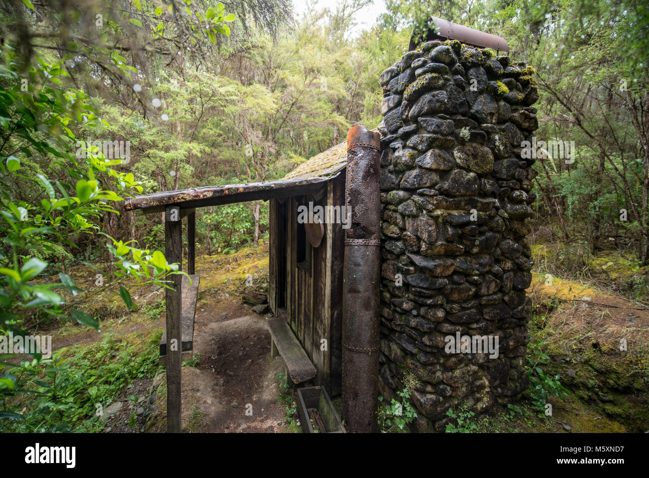 Vecchia casa abbandonata cresciuto sopra dalla giungla Foto Stock