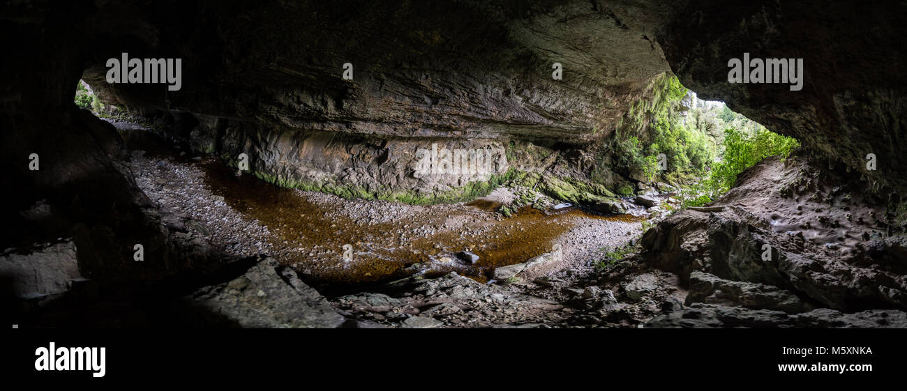 Enorme grotta in Nuova Zelanda, Oparara archi Foto Stock