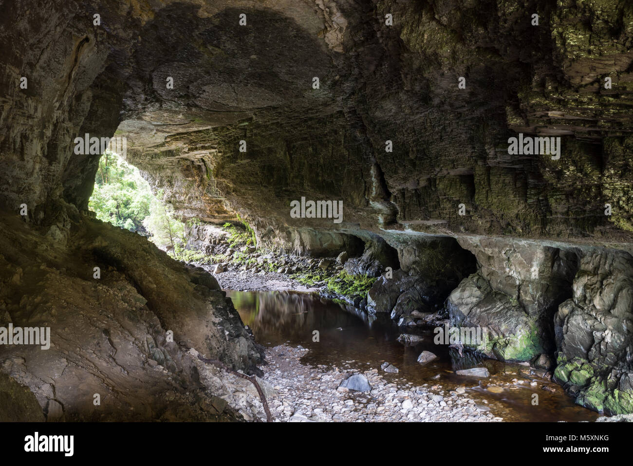 Enorme grotta in Nuova Zelanda, Oparara archi Foto Stock