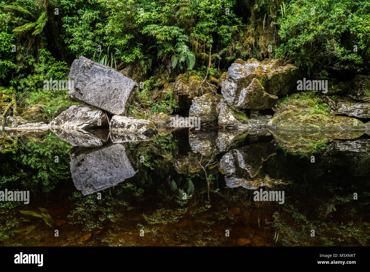 Riflessioni a specchio scuro fiume, Oparara bacino, Nuova Zelanda Foto Stock