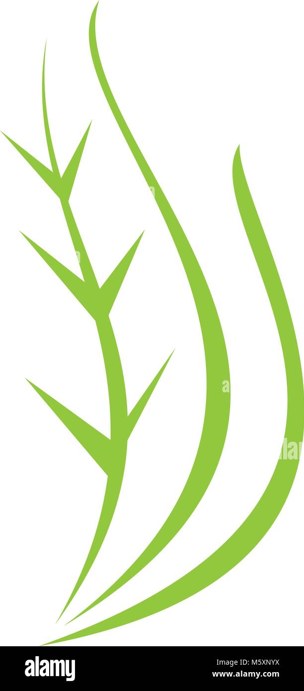 E il sigaro per un sano sviluppo del Logo vettore modello Illustrazione Vettoriale