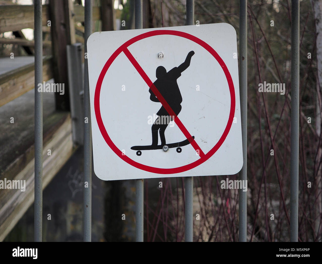 'N' skateboarding accedi Bothell, WA Foto Stock