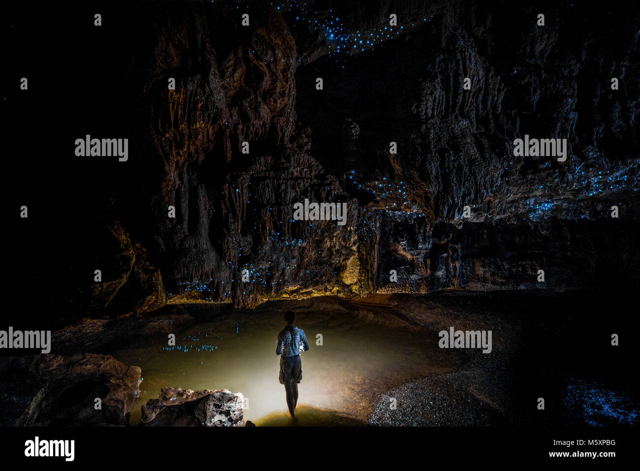 Ragazza in piedi sotto il cielo di Glowworms in grotte Waipu,Nuovo Zaland Foto Stock