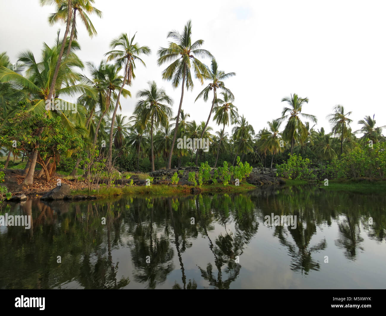 PU`uhonua o Hōnaunau National Historical Park alle Hawaii Foto Stock
