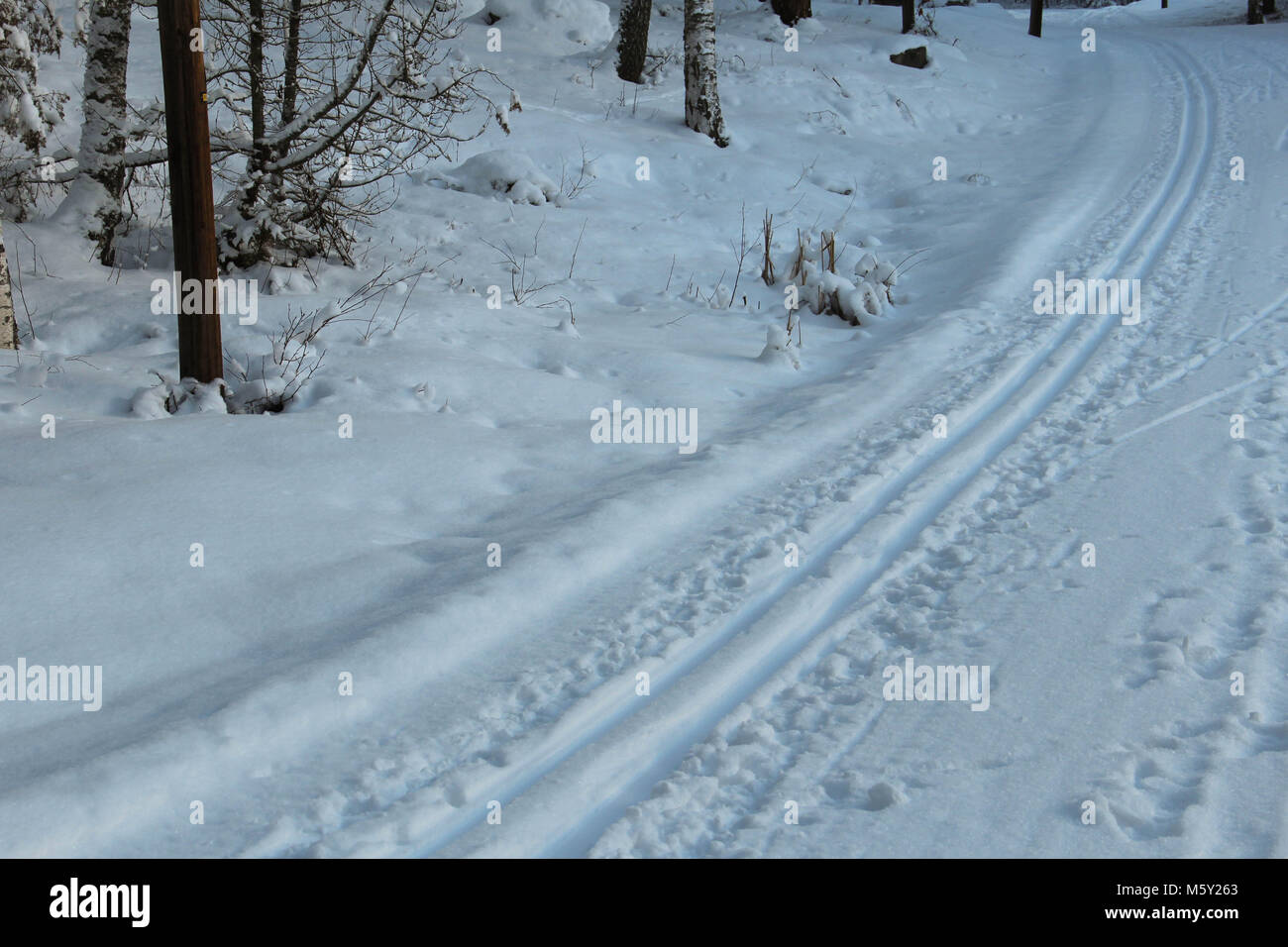Pista di Sci nella foresta svedese Foto Stock