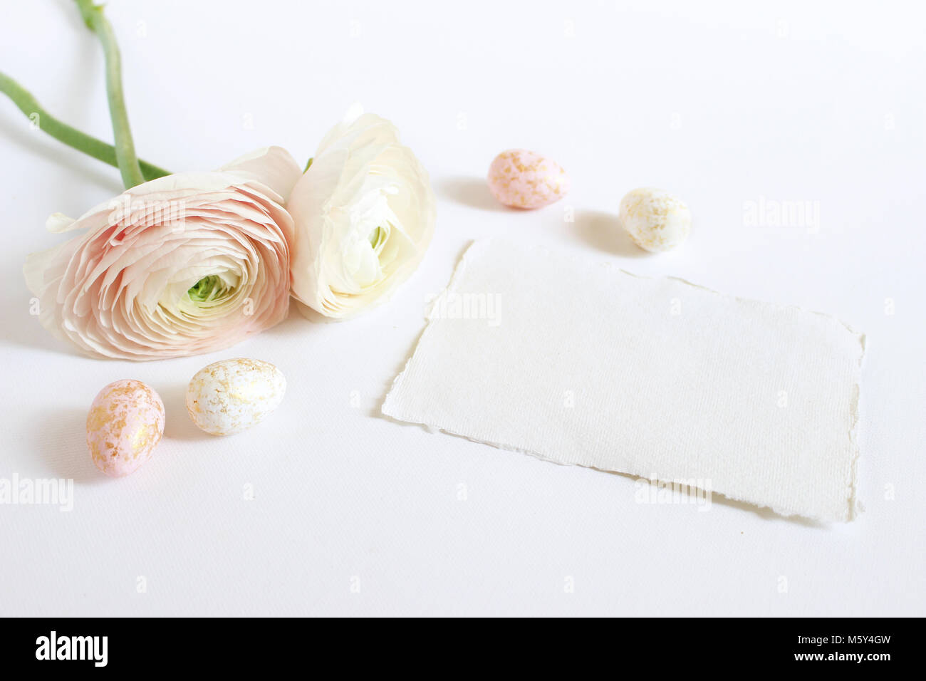 Molla della scheda Messaggi di saluto, invito con rosa e bianco golden spotted uova pasquali roselline, ranuncoli fiori e vuoto di carta craft giacente sul tavolo bianco. Stile femminile stock photo. Foto Stock