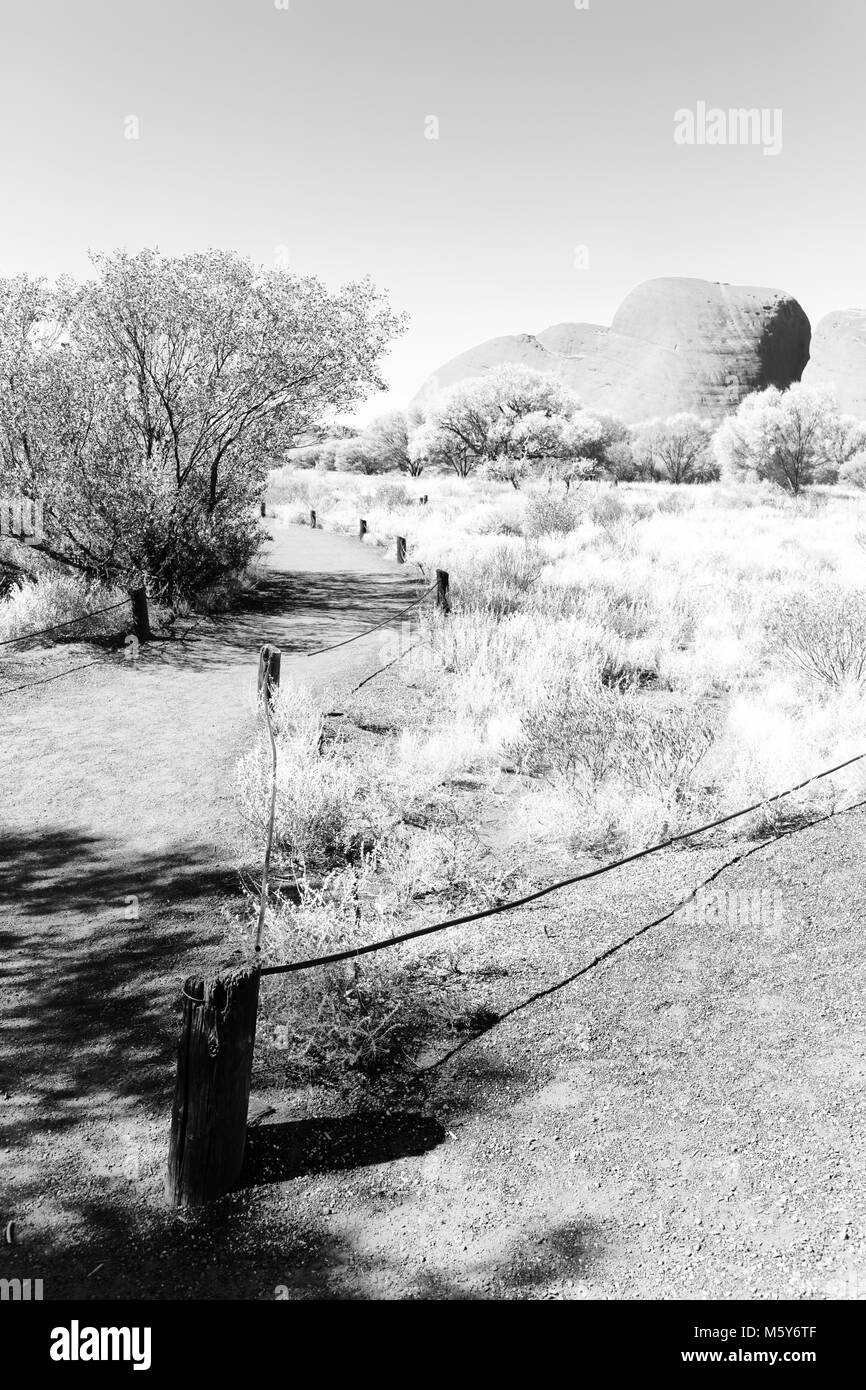 In Australia la outback canyon e la struttura ad albero in prossimità di montagna nella natura Foto Stock