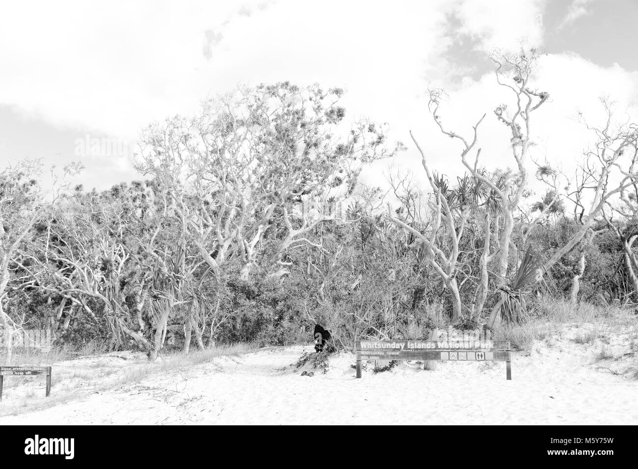 In Australia la spiaggia di Whitsunday Island la struttura ad albero e il segno di direzione Foto Stock