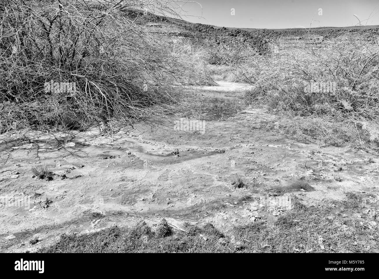 In danakil Etiopia africa la depressione vulcanica di Dallol e pole ale Foto Stock