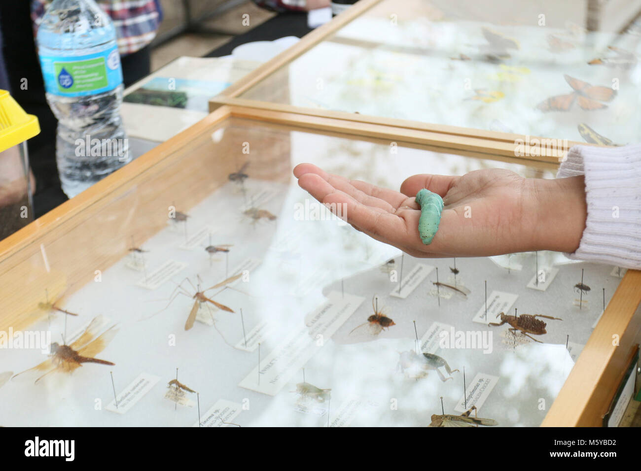 Science Fest 205. Il Museo di Storia Naturale della Contea di Los Angeles ha portato esemplari sia morti che vivi. Foto Stock