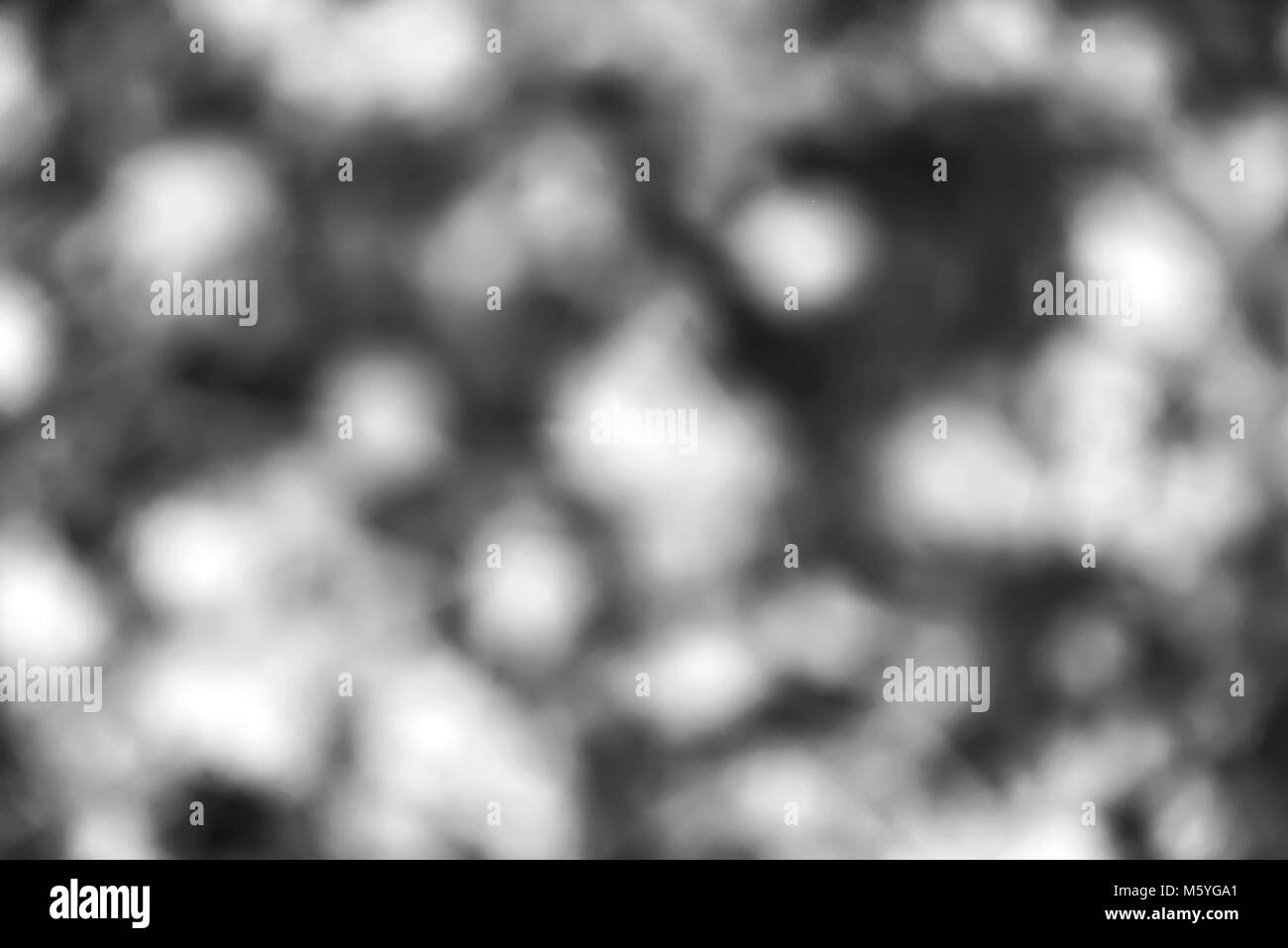 Le foglie in autunno Park. Foresta di autunno è bellissimo. Yello Foto Stock