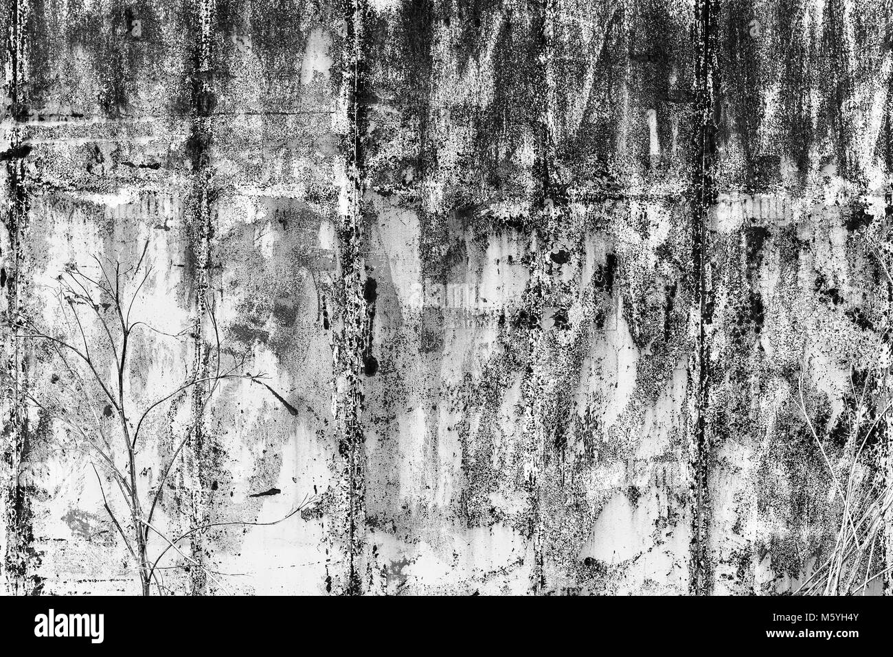 La texture delle porte di metallo Foto Stock