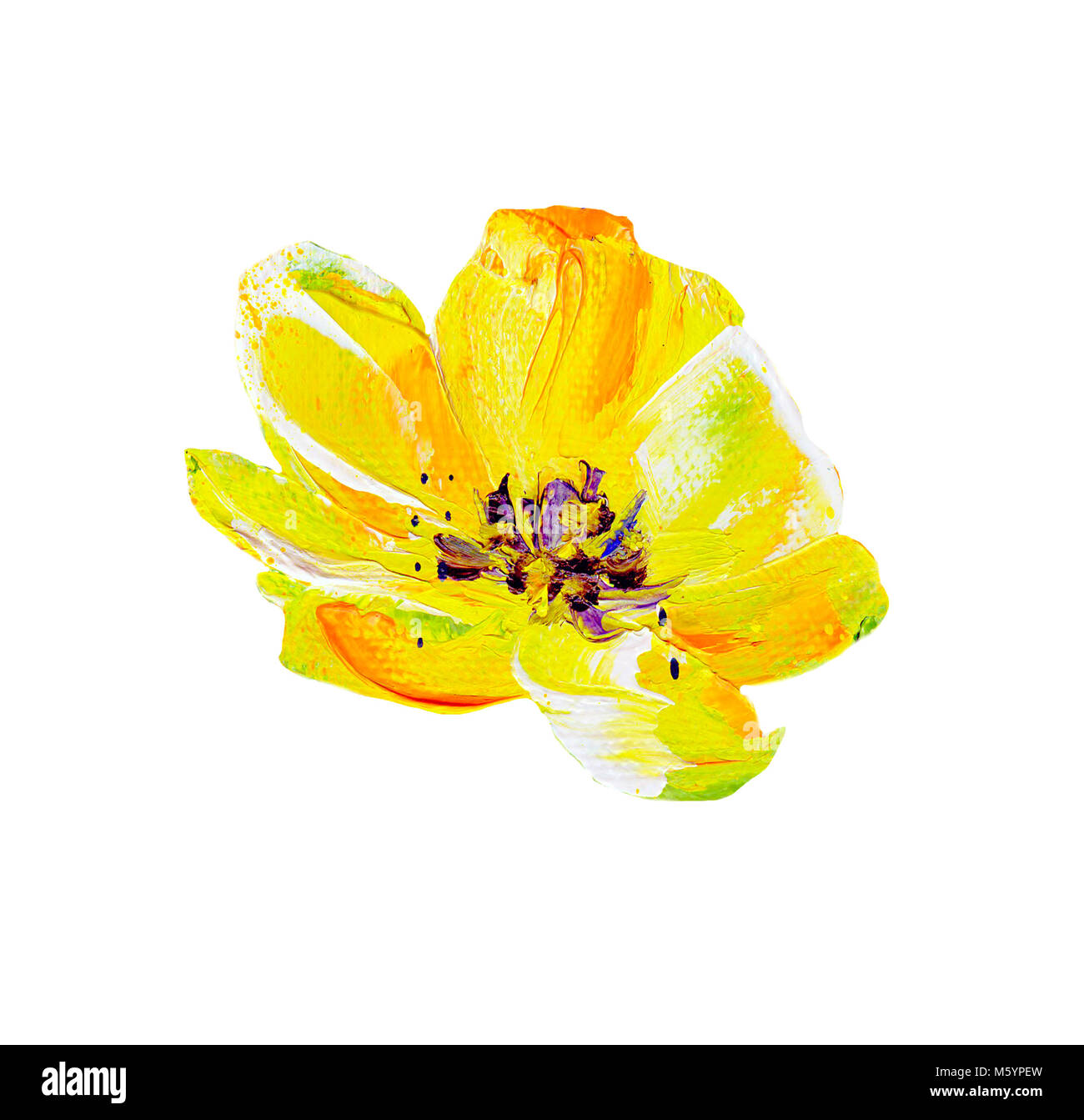 Dipinti a mano in stile moderno fiore giallo isolato su sfondo bianco. Fiore di primavera natura stagionale card. Pittura Di Olio Foto Stock