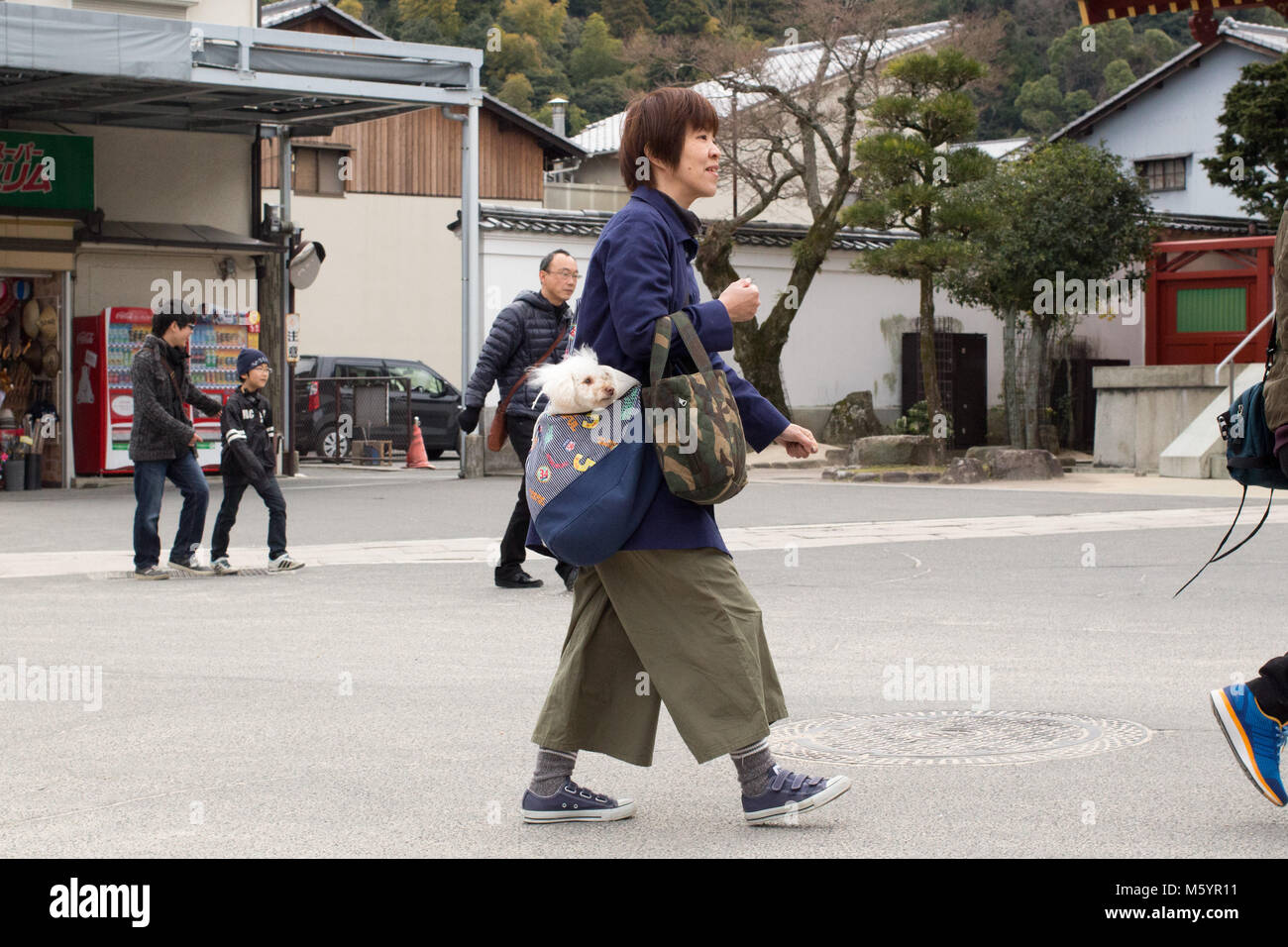 Una donna con un cane nella sua borsetta su l'isola di Miyajima. Foto Stock