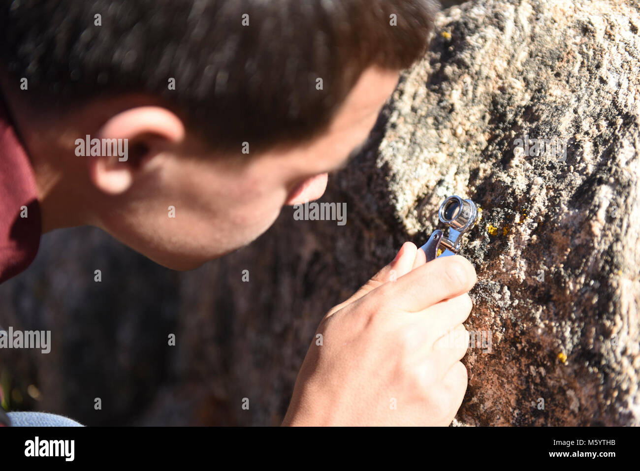 Studente osserva il lichen. Foto Stock