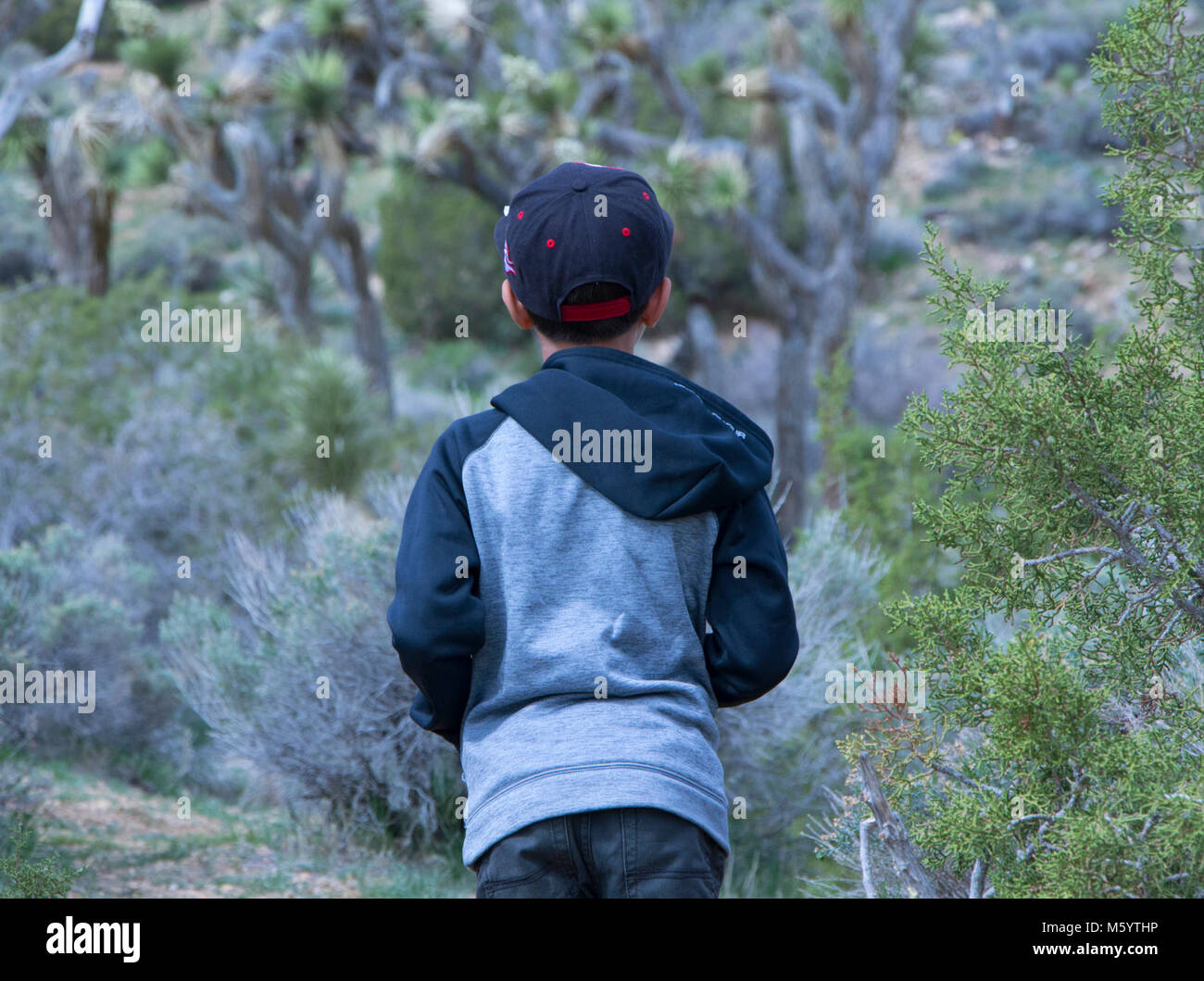 Studente visitatore al Black Rock. Foto Stock