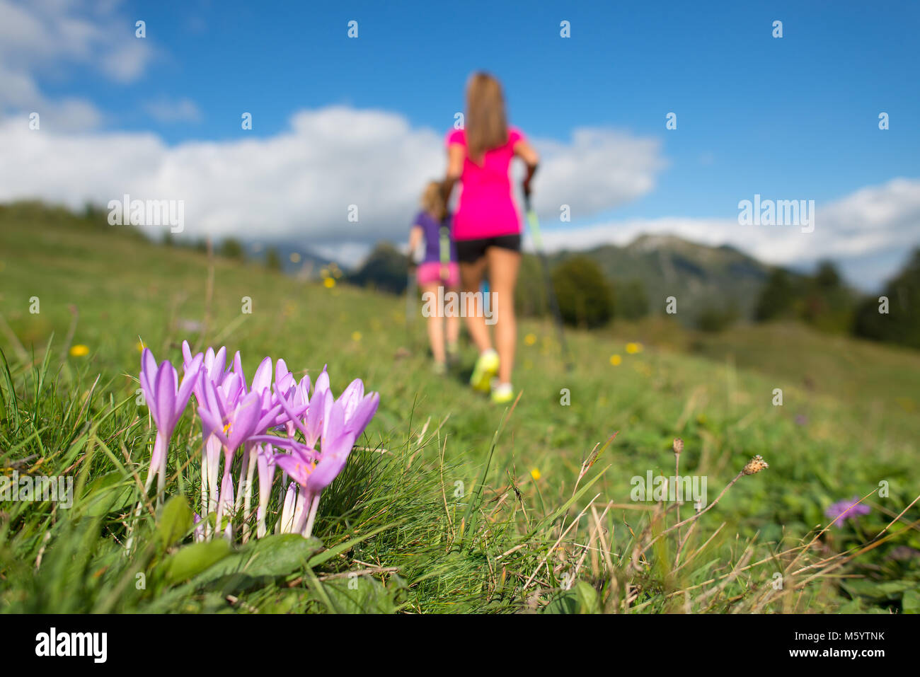 Rosa fiori di montagna con le ragazze in esecuzione nel prato. Foto Stock