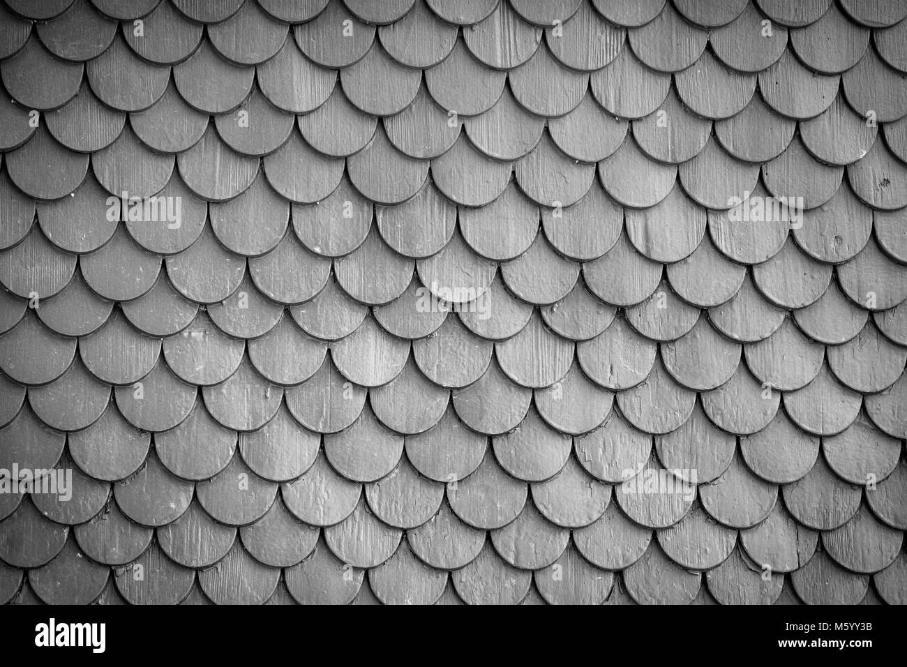 Monocromatico piastrelle di legno parete tetto sfondo texture Foto Stock