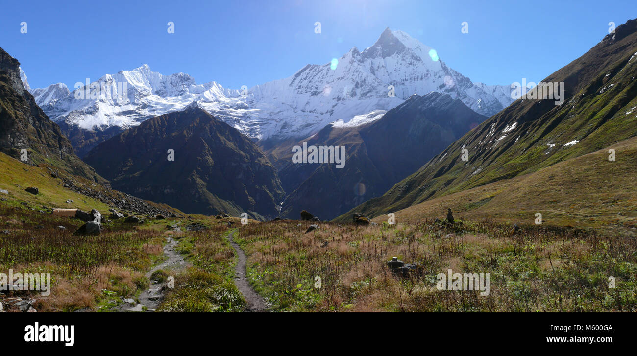 Modo di Annapurna base camp, prati di montagna e Snow capped Himalaya, Mount Machapuchare, coda di pesce mountain Foto Stock