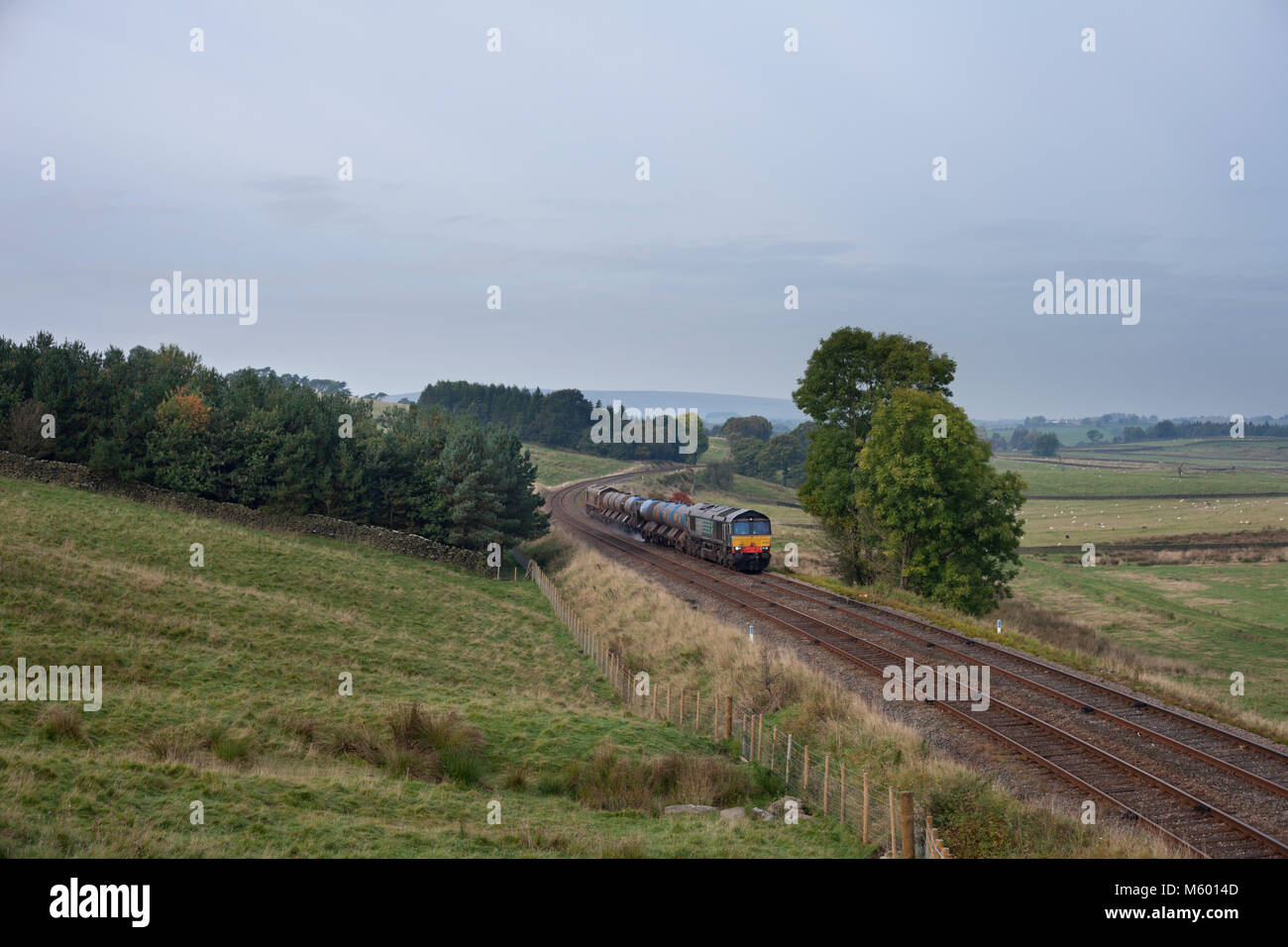 2 Direct rail Services class 66 locomotive Eldroth pass (tra Clapham & Giggleswick, Yorkshire) con una rete rampa rampa testa treno di trattamento. Foto Stock