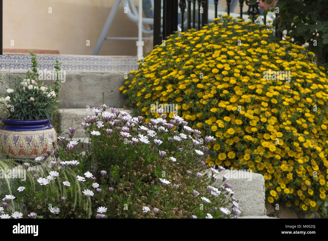 Ceramica pentola di piante e fiori multi colore sulla scalinata che conduce ad un patio, Spagna Foto Stock