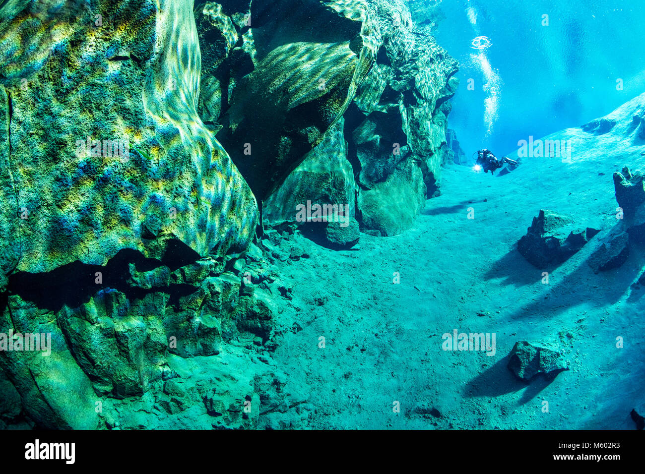 Scuba diving in Silfra fessura, Thingvellir National Park, Islanda Foto Stock