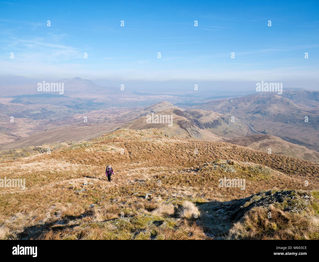 Femmina walker hill sulla salita per Allt-Fawr dalla Crimea passano vicino a Blaenau Ffestiniog, in Snowdonia Moelwyn della montagna. Foto Stock