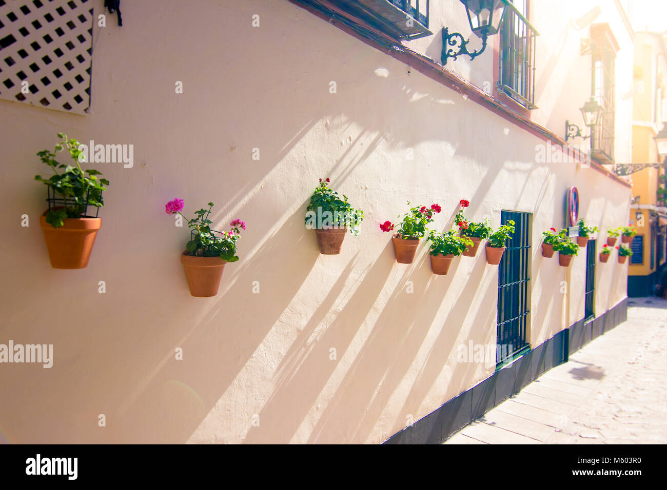 Vasi da fiori e fiori su un bianco walll, Siviglia o molte altre vecchie città andalusa. Andalusia Spagna. Foto Stock