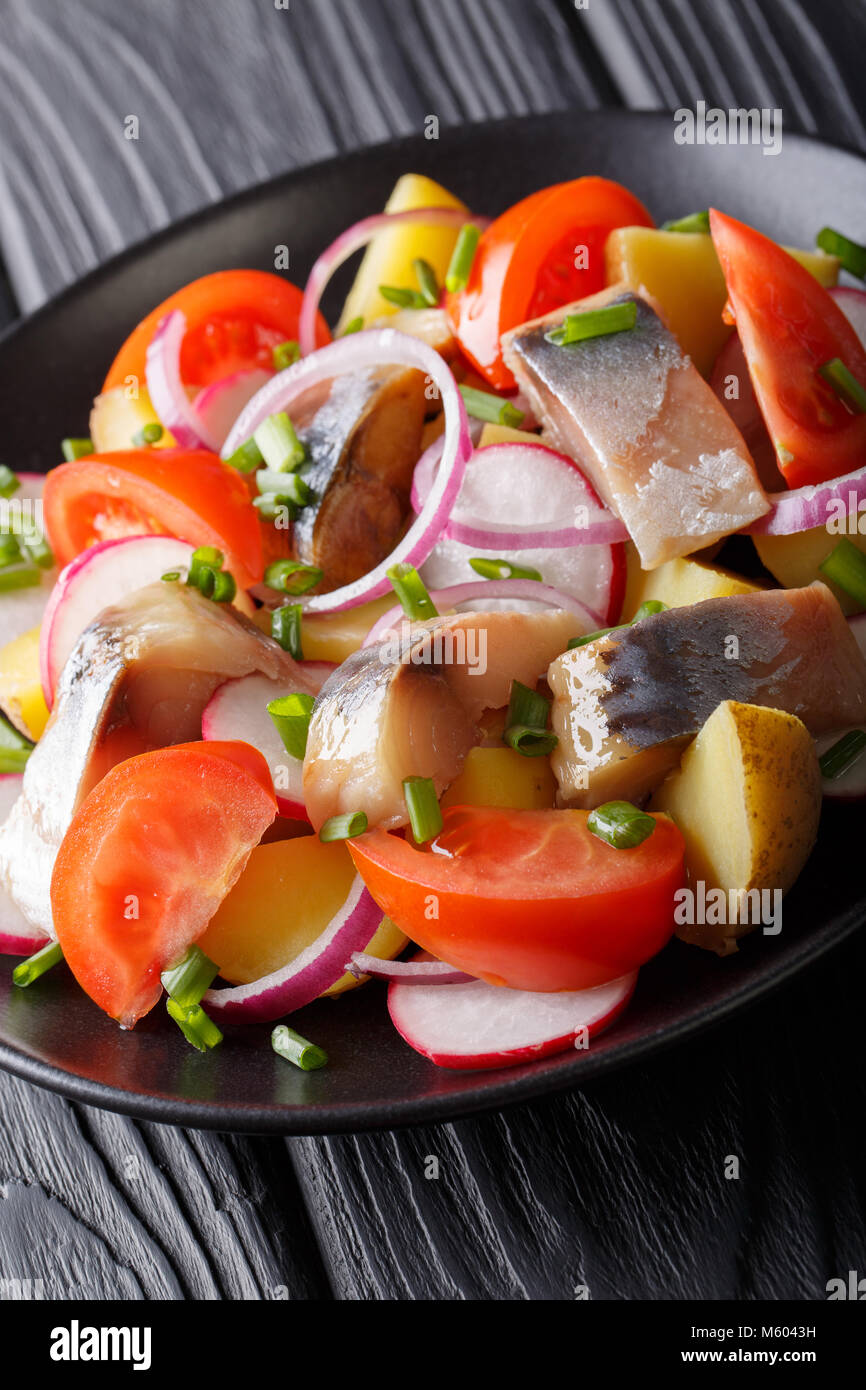 Insalata fresca di sgombro con carofel, Rafano, cipolla e pomodoro close-up su una piastra verticale. Foto Stock