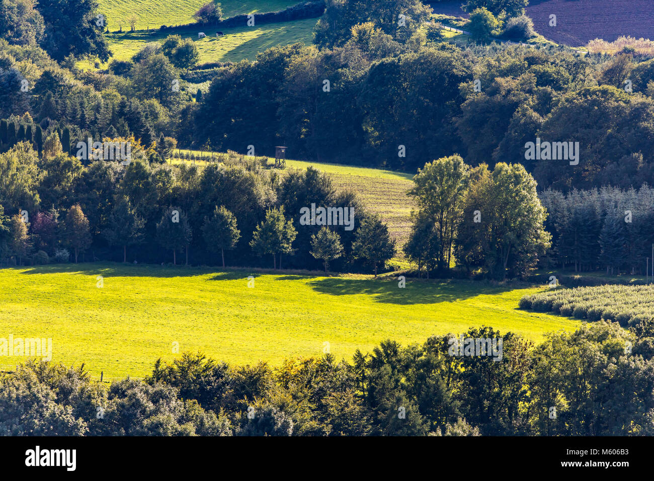 Zona della Ruhr, lato paese, paesaggio, Essen, Germania, Fischlaken distretto, Foto Stock