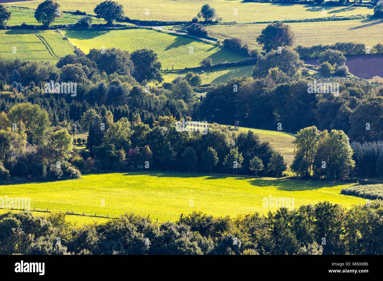 Zona della Ruhr, lato paese, paesaggio, Essen, Germania, Fischlaken distretto, Foto Stock