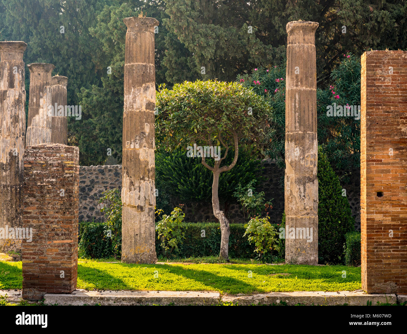 Area erbata tra le rovine di Pompei, Italia. Foto Stock