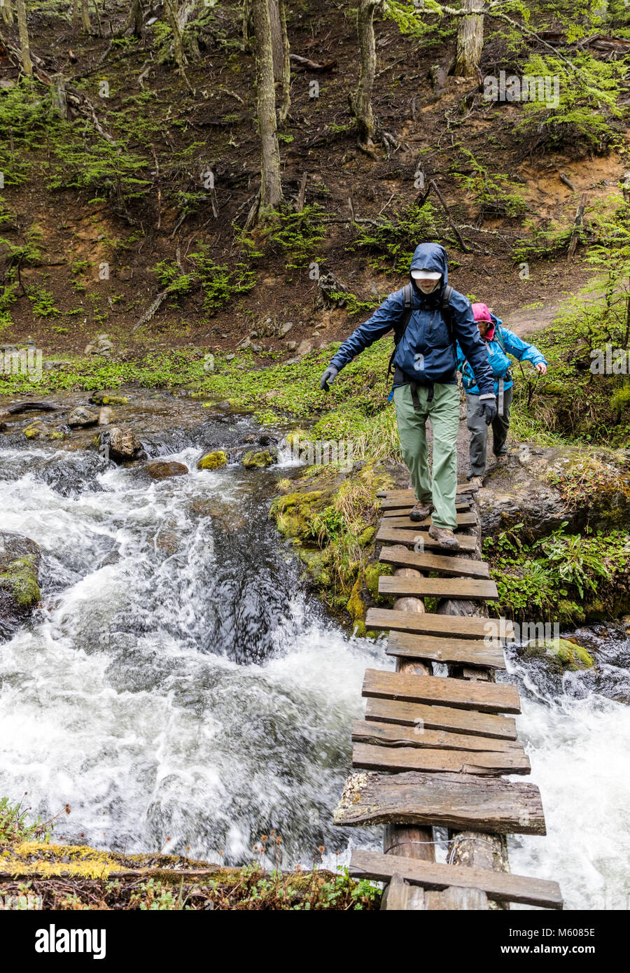 Sendero a La Cascada Velo de la Novia; Trekker attraversando ponte pedonale sul percorso del velo de la Novia cascata; Ushuaia, Argentina Foto Stock